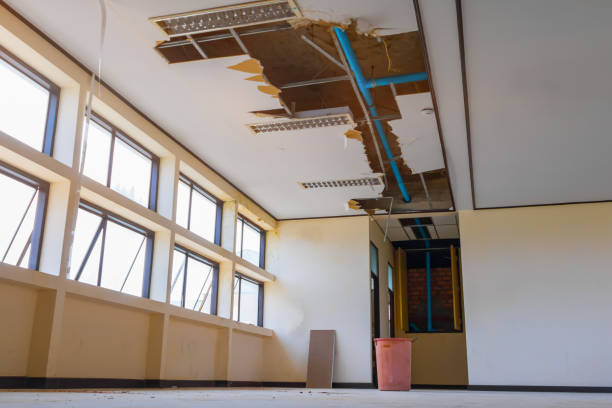 Best Water damage restoration specialists  in West Lafayette, IN