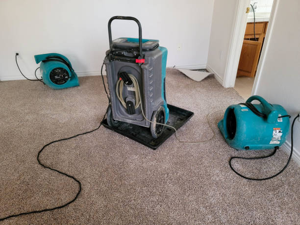 Best Residential water damage restoration  in West Lafayette, IN