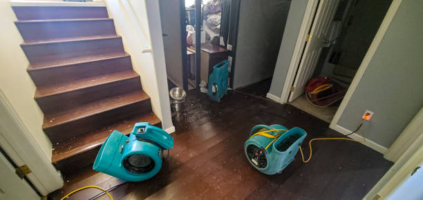 Best Sewage cleanup and water damage restoration  in West Lafayette, IN
