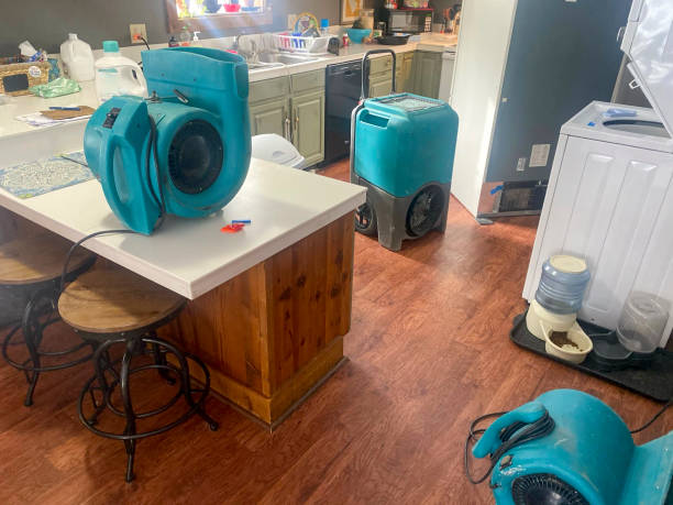 Best Fire Damage Restoration  in West Lafayette, IN