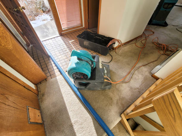 Best Water damage contractors near me  in West Lafayette, IN