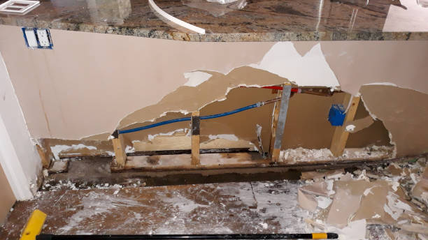 Best Carpet water damage restoration  in West Lafayette, IN