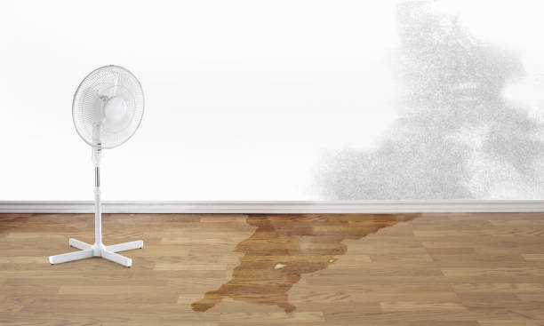 West Lafayette, IN Water damage restoration Company
