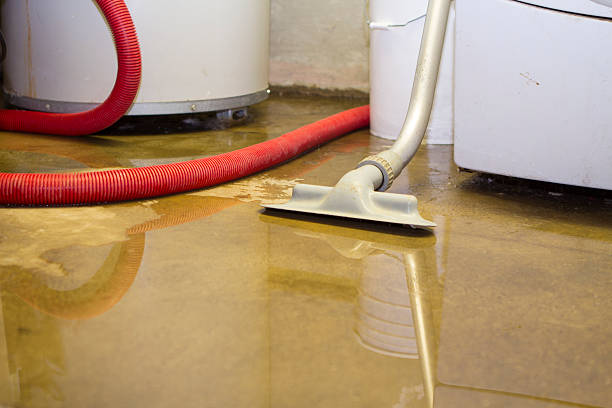 Best Professional water damage repair  in West Lafayette, IN