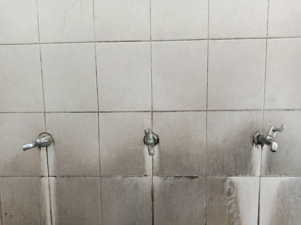 Best Water damage restoration near me  in West Lafayette, IN
