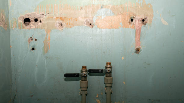 Carpet water damage restoration in West Lafayette, IN