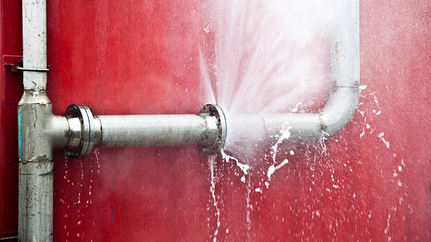 Best Flood damage cleanup  in West Lafayette, IN
